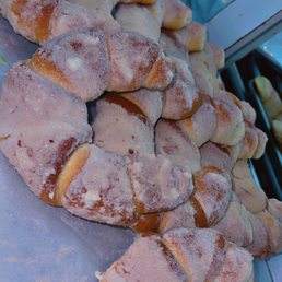 Conchas