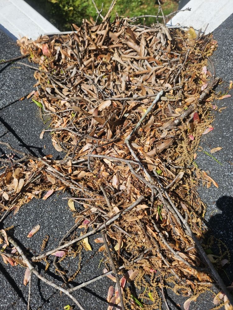 THE GUTTER GUYS Updated April 2024 Request a Quote 20 Photos