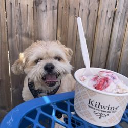 Kilwins Ice Cream - Chocolate - Fudge