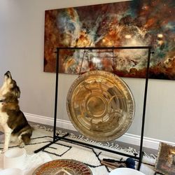 Jaclyn Costello - Samantha the therapy dog, practicing her Sound Healing skills...