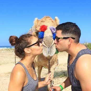 Cabo Adventures - Camel adventure! - Boat Tours Near Me - Cabo San Lucas, BCS