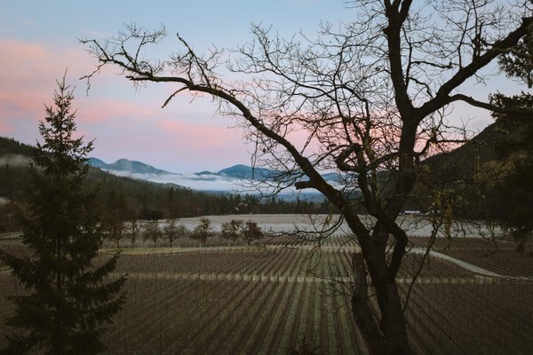 Cowhorn Vineyard & Garden by null