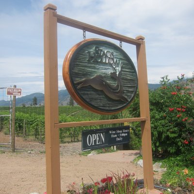 Stag's Hollow Winery by null