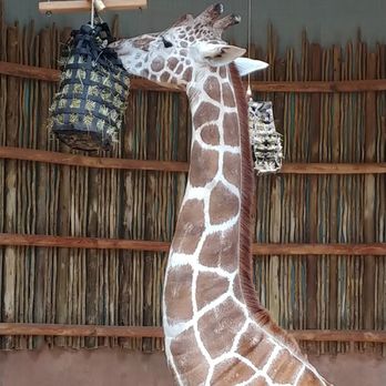 Lincoln Park Zoo - Zoos Near Me - Chicago, Illinois Lincoln Park Zoo - Zoos Near Me - Chicago, Illinois