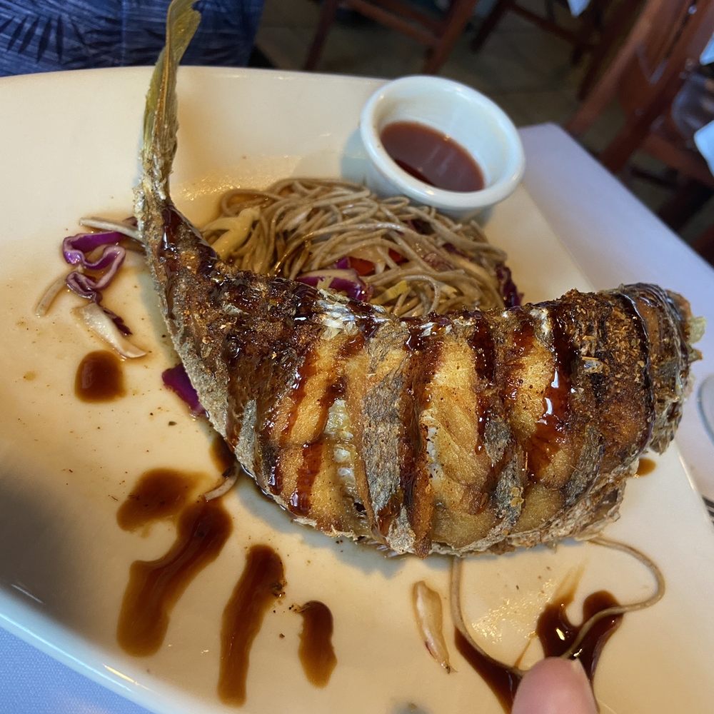 A Table Apart - Snapper back view - Asian Fusion Near Me - Bonita Springs, Florida A Table Apart - Snapper back view - Asian Fusion Near Me - Bonita Springs, Florida