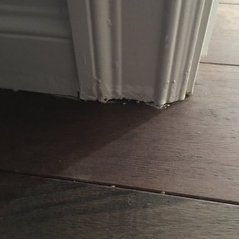 The Repaint Guys - Painters Near Me - Edmonton, Alberta