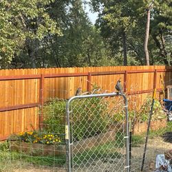 Zacarias Landscape Services - Fence
