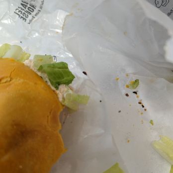 Bagel House - Friendly service in the front, slow making bagels, bug in sandwich - Bagels Near Me - Phillipsburg, New Jersey Bagel House - Friendly service in the front, slow making bagels, bug in sandwich - Bagels Near Me - Phillipsburg, New Jersey