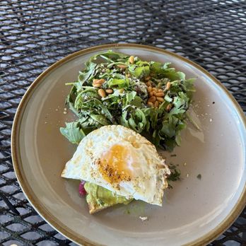 The Sage Mule - Avocado toast with curry aioli and egg - Breakfast & Brunch Near Me - Greensboro, North Carolina The Sage Mule - Avocado toast with curry aioli and egg - Breakfast & Brunch Near Me - Greensboro, North Carolina