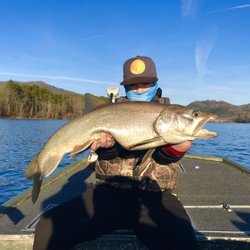 Appalachian Fly and Yak - Big lake trout!