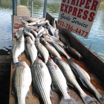 Striper Express Guide Service - Boat Charters Near Me - Pottsboro, Texas Striper Express Guide Service - Boat Charters Near Me - Pottsboro, Texas