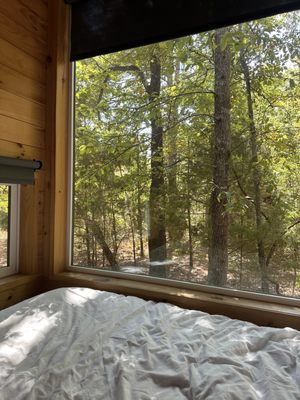 Postcard Cabins Piney Woods, Outdoor Collection by Marriott Bonvoy by null