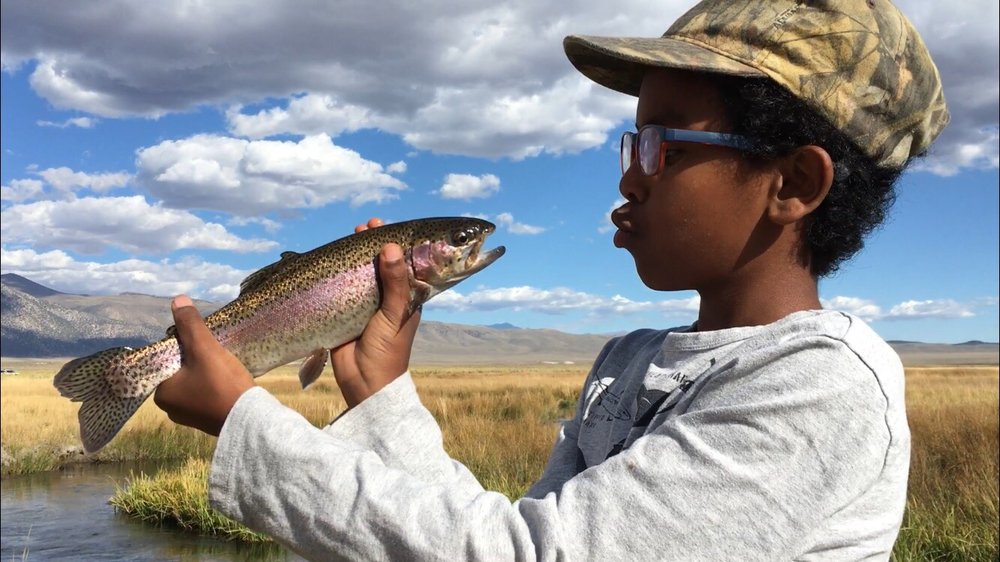 THE TROUT FLY & TROUTFITTER 47 Photos & 84 Reviews Hwy 203 And Old