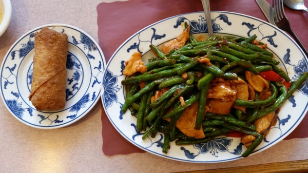 North Garden by null