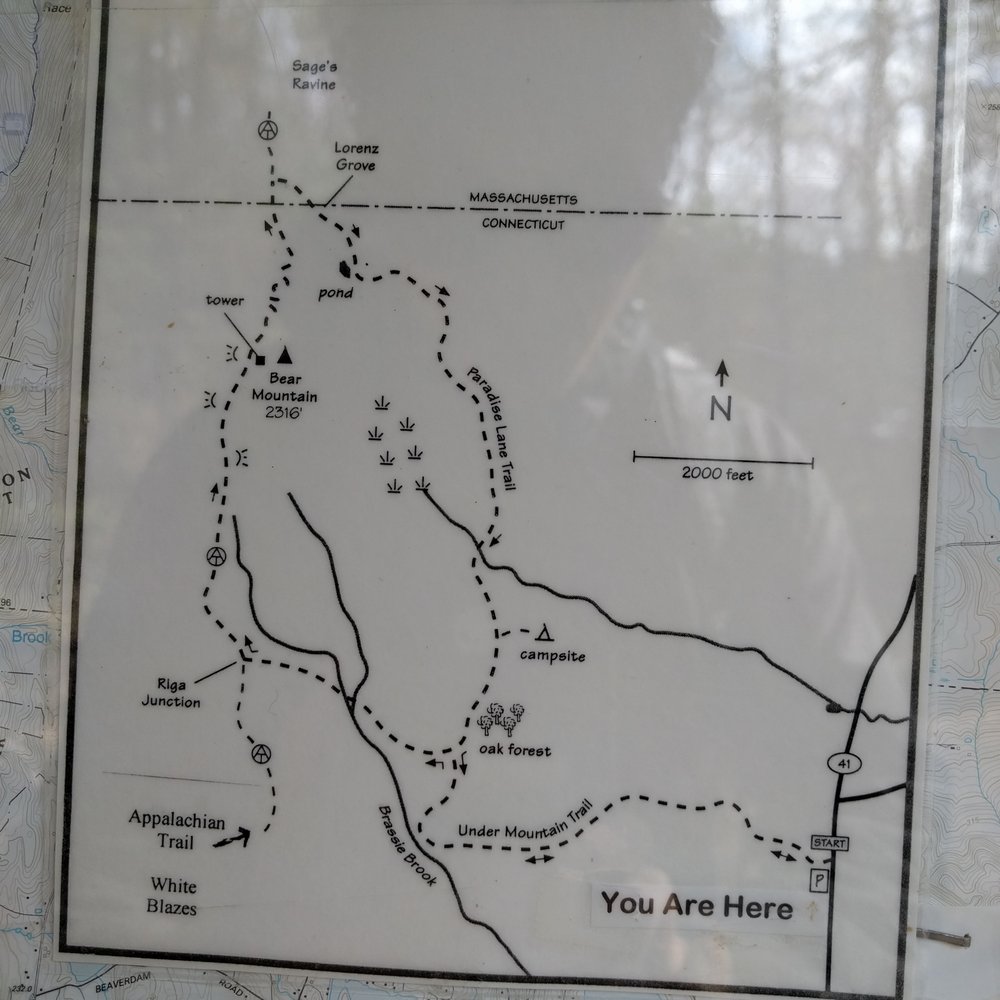 Bear Mountain - Starting from Under Mountain Trail - Hiking Near Me