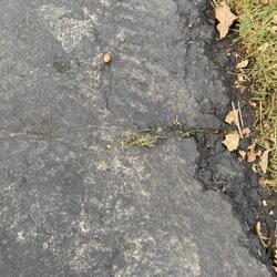 Complete Asphalt Maintenance