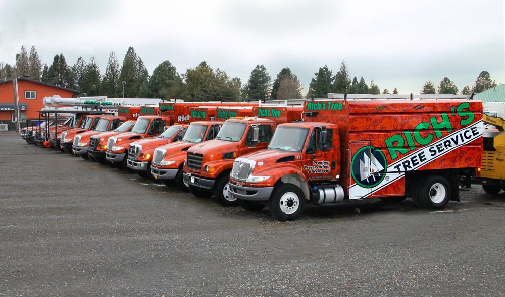 Rich's Tree Service - tree service in Fairview, OR