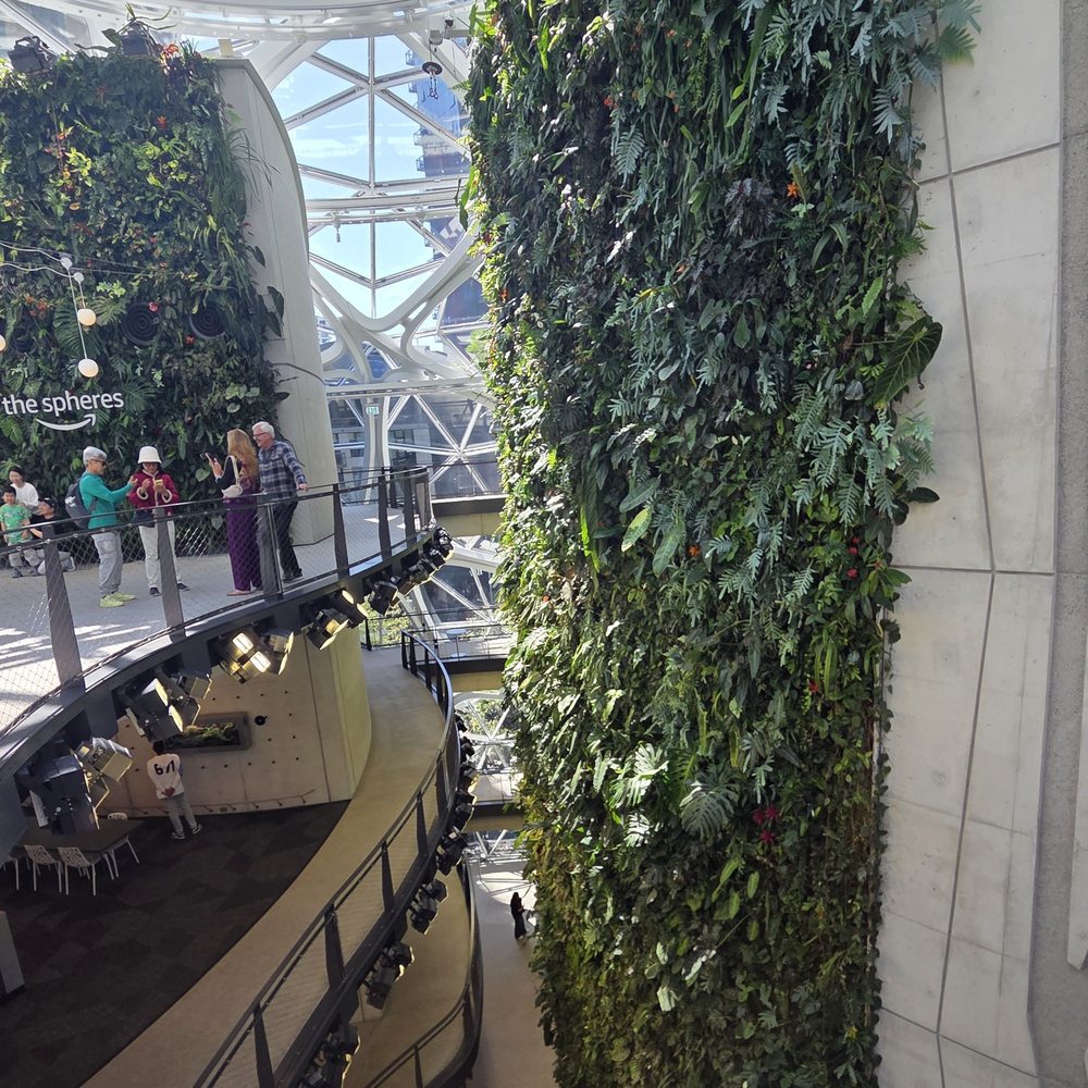 Amazon Spheres - Plants - Botanical Gardens Near Me - Seattle, Washington