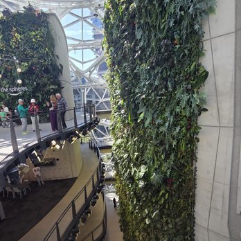 Amazon Spheres - Plants - Botanical Gardens Near Me - Seattle, Washington
