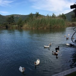 Azmakbaşı Restaurant - Kaplumbağa, Ördek, Balık, sazlıklar, Sessizlik (ördekleri saymazsak) :)