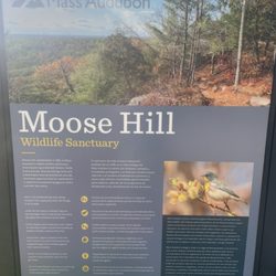 Moose Hill Wildlife Sanctuary - Info