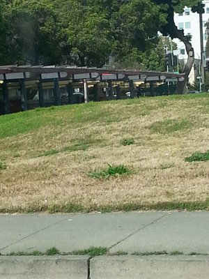 Wilma Chan Park (formerly Madison Square Park) by null