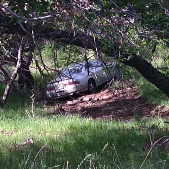 Arrowhead Towing - Close up through the trees - Towing Near Me - Antioch, California Arrowhead Towing - Close up through the trees - Towing Near Me - Antioch, California