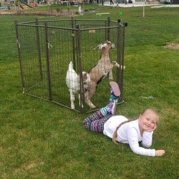 Sassy Pants Farm - Just hanging out with spunky and cappuccino before the event starts !!! - Party & Event Planning Near Me - Erda, Utah Sassy Pants Farm - Just hanging out with spunky and cappuccino before the event starts !!! - Party & Event Planning Near Me - Erda, Utah