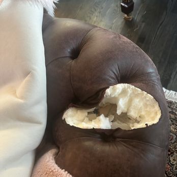 Rip N Repair - Damage done to my sofa that Scott had to repair. - Furniture Reupholstery Near Me