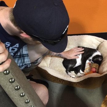 Orlando Cat Cafe - Animal Shelters Near Me - Clermont, Florida Orlando Cat Cafe - Animal Shelters Near Me - Clermont, Florida