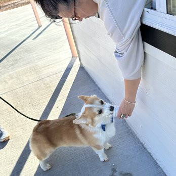 Maple & Honey Coffee - Pup cup - Coffee & Tea Near Me - Edmond, Oklahoma Maple & Honey Coffee - Pup cup - Coffee & Tea Near Me - Edmond, Oklahoma
