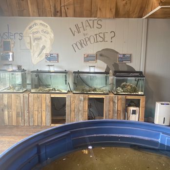 Topsail Aquarium - Aquariums Near Me - Surf City, North Carolina