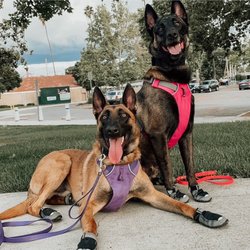 Woodcrest Veterinary Clinic