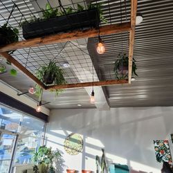 Littlebird Restaurant & Bar - Restaurant Decor