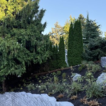 Green Triangle Landscaping - Front landscaping.  Hillside. Victor's team put in wall and plantings. - Landscaping Near Me