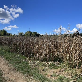 Melick Orchards - It felt like we had the place to ourselves - Farmers Market Near Me - Califon, New Jersey
