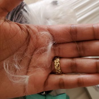 Sun's Pet Grooming - The hair that was pulled out by the rubber bands - Pet Groomers Near Me - Rancho Palos Verdes, California Sun's Pet Grooming - The hair that was pulled out by the rubber bands - Pet Groomers Near Me - Rancho Palos Verdes, California