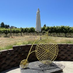 Stavalaura Vineyard - Vineyard