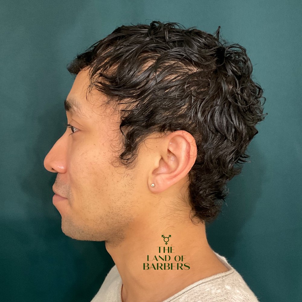 LAND OF BARBERS HAIR SALON 323 Photos & 146 Reviews 146 Franklin St