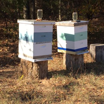 Blue Doors At Tenkiller - They have bees on the property! - Resorts Near Me - Gore, Oklahoma