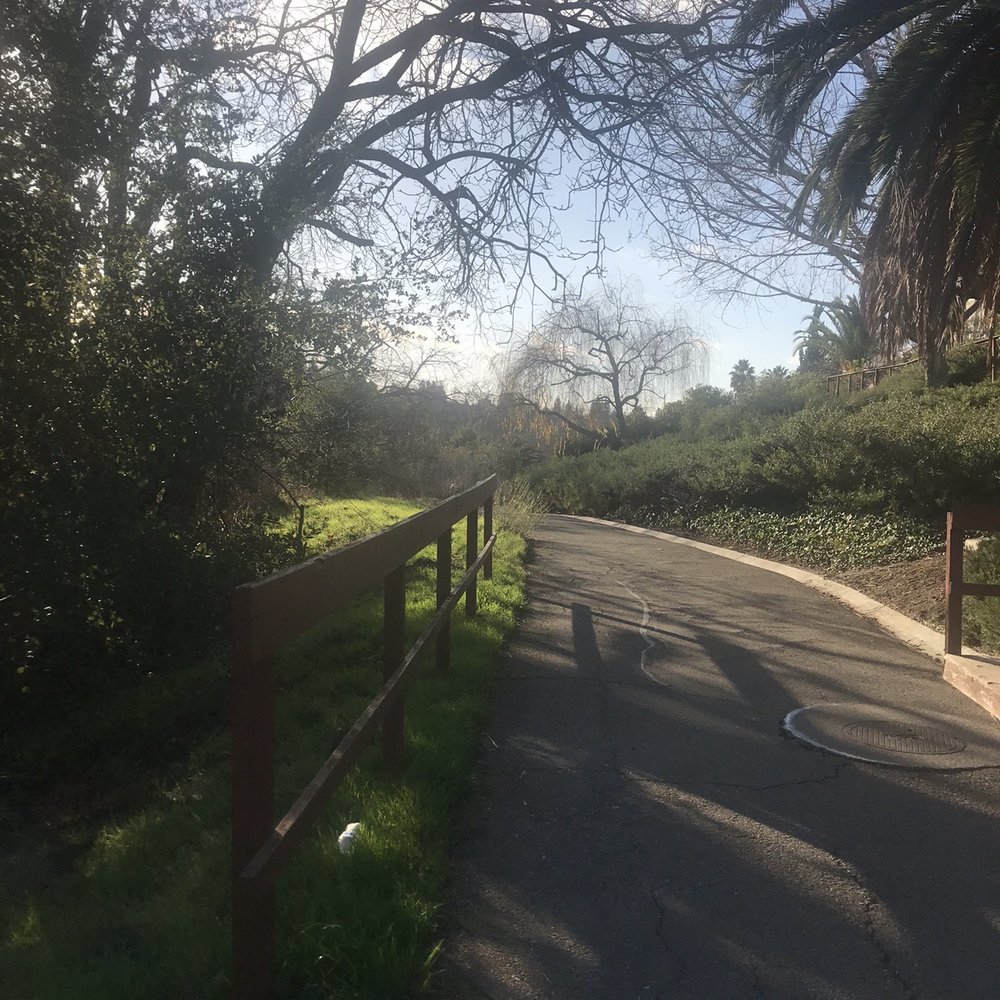 Sabercat Creek Trail - Parks Near Me - Fremont, California Sabercat Creek Trail - Parks Near Me - Fremont, California