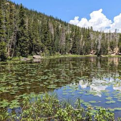 Nymph Lake - Instagram: @telephonesmoothie