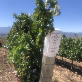 Destination Vine - Happy Canyon AVA - Wine Tours Near Me - Santa Barbara, California Destination Vine - Happy Canyon AVA - Wine Tours Near Me - Santa Barbara, California