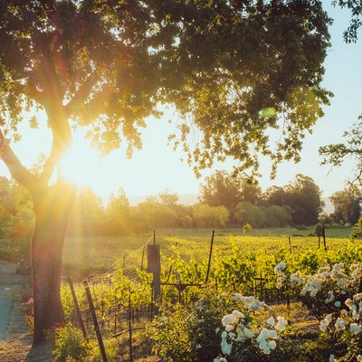 La Crema Estate at Saralee's Vineyard by null