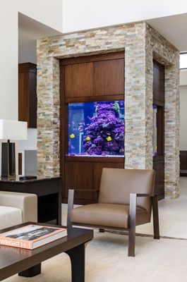 Jellyfish Art by null