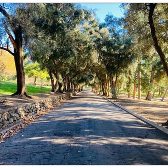 Veterans Memorial Park - Oak trees. Let's race! - Parks Near Me - Sylmar, California Veterans Memorial Park - Oak trees. Let's race! - Parks Near Me - Sylmar, California