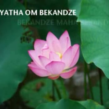Heavenly Healing - Pure & beautiful - Naturopathic/Holistic Near Me - Las Vegas, Nevada Heavenly Healing - Pure & beautiful - Naturopathic/Holistic Near Me - Las Vegas, Nevada