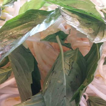 Pho Lovers - Greens - Vietnamese Near Me - Sunnyvale, California Pho Lovers - Greens - Vietnamese Near Me - Sunnyvale, California