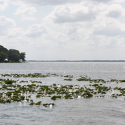 Lake Eustis Museum of Art - Our view of Lake Eustis