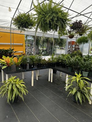 Pensacola Seed & Garden, 4915 Mobile Hwy, Pensacola, FL 32506-3229, US -  MapQuest